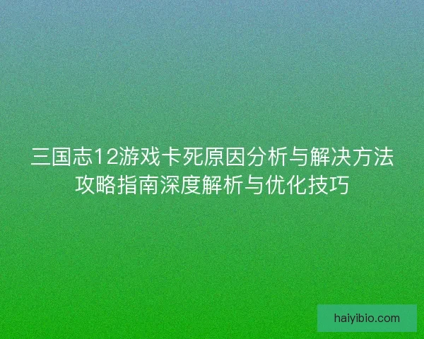 三国志12游戏卡死原因分析与解决方法攻略指南深度解析与优化技巧