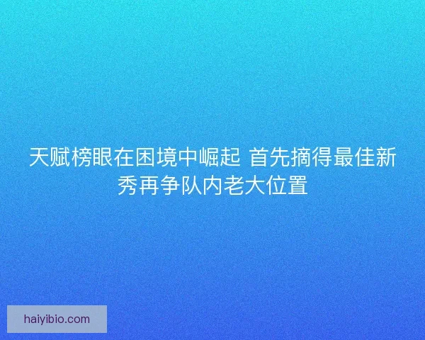 天赋榜眼在困境中崛起 首先摘得最佳新秀再争队内老大位置