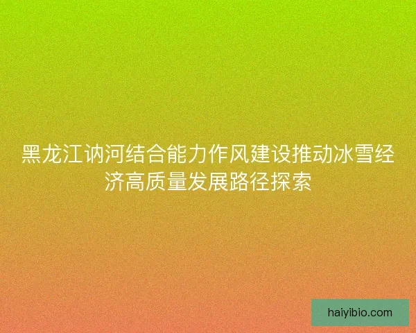 黑龙江讷河结合能力作风建设推动冰雪经济高质量发展路径探索