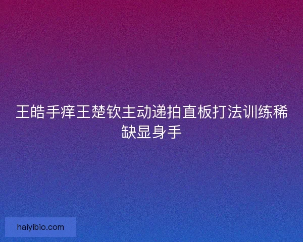 王皓手痒王楚钦主动递拍直板打法训练稀缺显身手